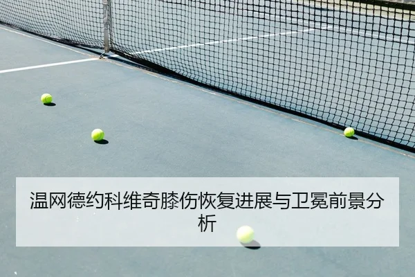 wen-wang-de-yue-ke-wei-qi-xi-shang-hui-fu-jin-zhan-yu-wei-mian-qian-jing-fen-xi-2-675.jpg