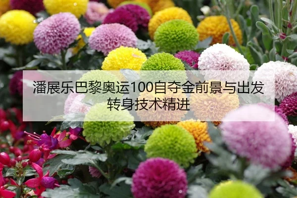潘展乐巴黎奥运100自夺金前景与出发转身技术精进