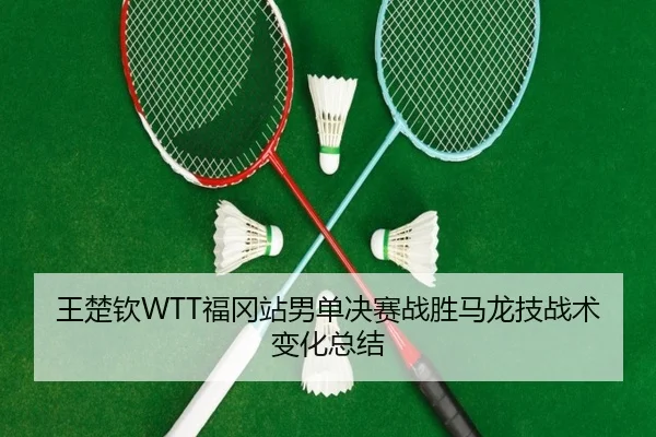 王楚钦WTT福冈站男单决赛战胜马龙技战术变化总结