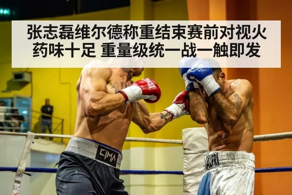 张志磊维尔德称重结束赛前对视火药味十足 重量级统一战一触即发