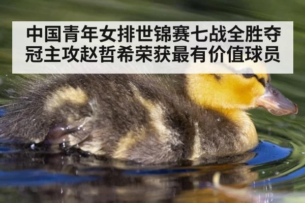 中国青年女排世锦赛七战全胜夺冠主攻赵哲希荣获最有价值球员